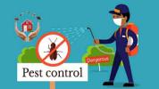Landing page preview for Home Services - Pest Control (Host & Post Leads)