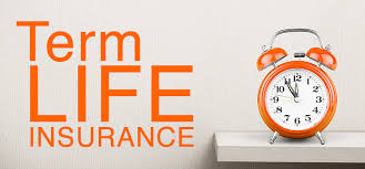Landing page preview for Pay Per Call: Life Insurance Calls - TRANSFERS ONLY - 120 Second Duration